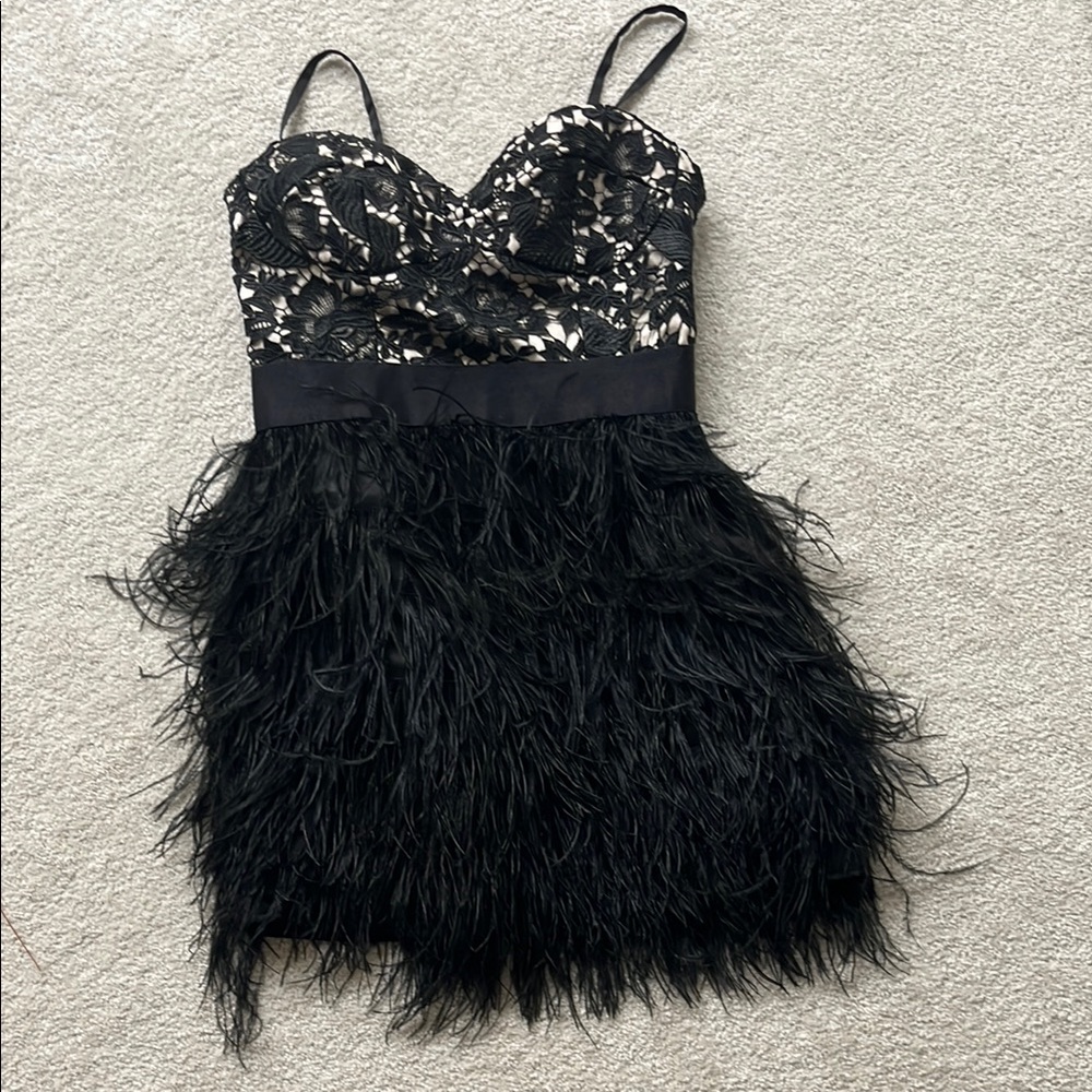 Black Lace and Feather Dress